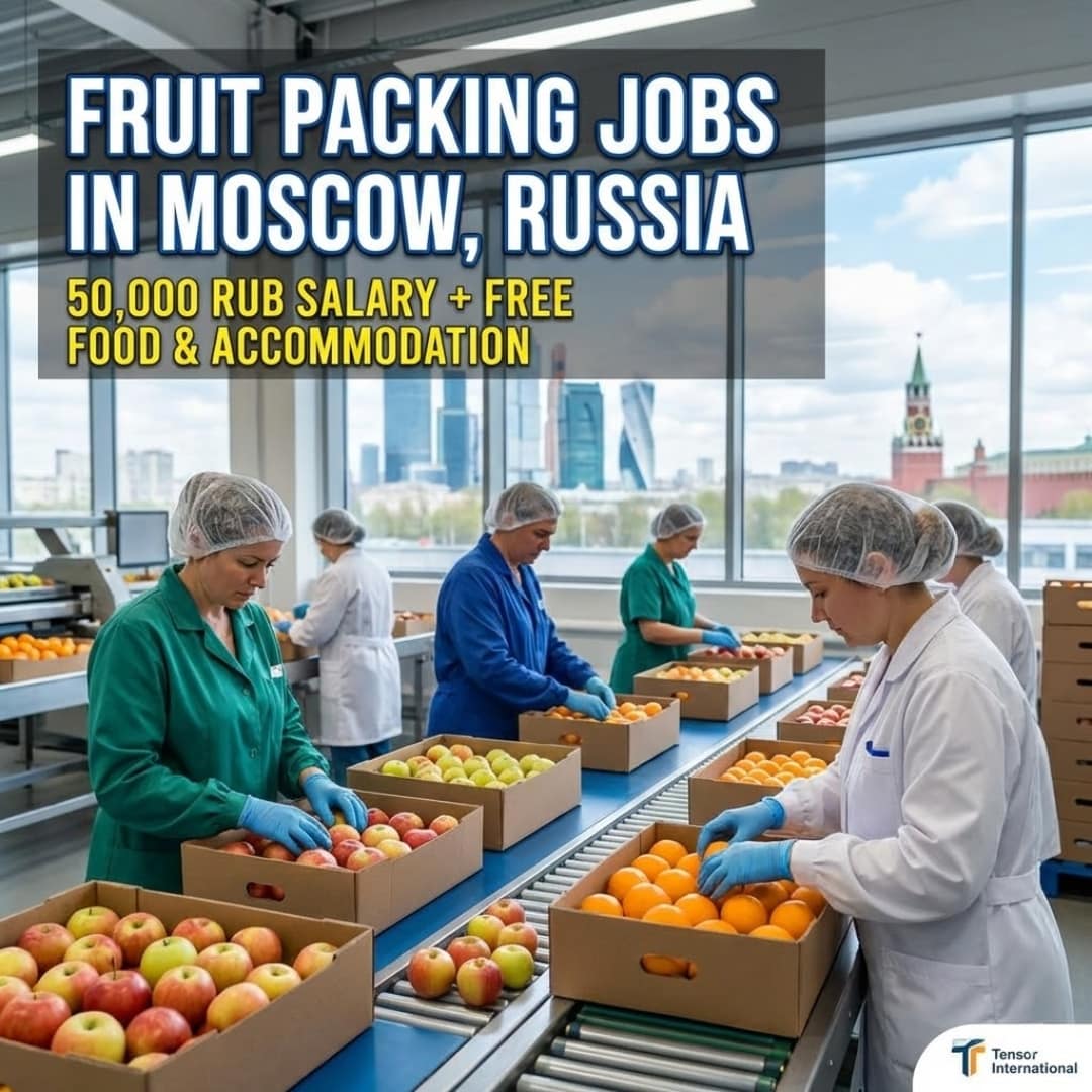 fruit packing jobs in Russia, Moscow factory jobs, packing jobs in Moscow Russia, food packaging jobs abroad, Russia employment visa jobs, Russia factory worker jobs, overseas jobs for Indians, Russia jobs with free accommodation, packing worker jobs abroad, food processing jobs in Russia, unskilled jobs in Russia, Russia work permit jobs, Tensor International jobs, factory packing jobs overseas, Moscow warehouse and packing jobs
