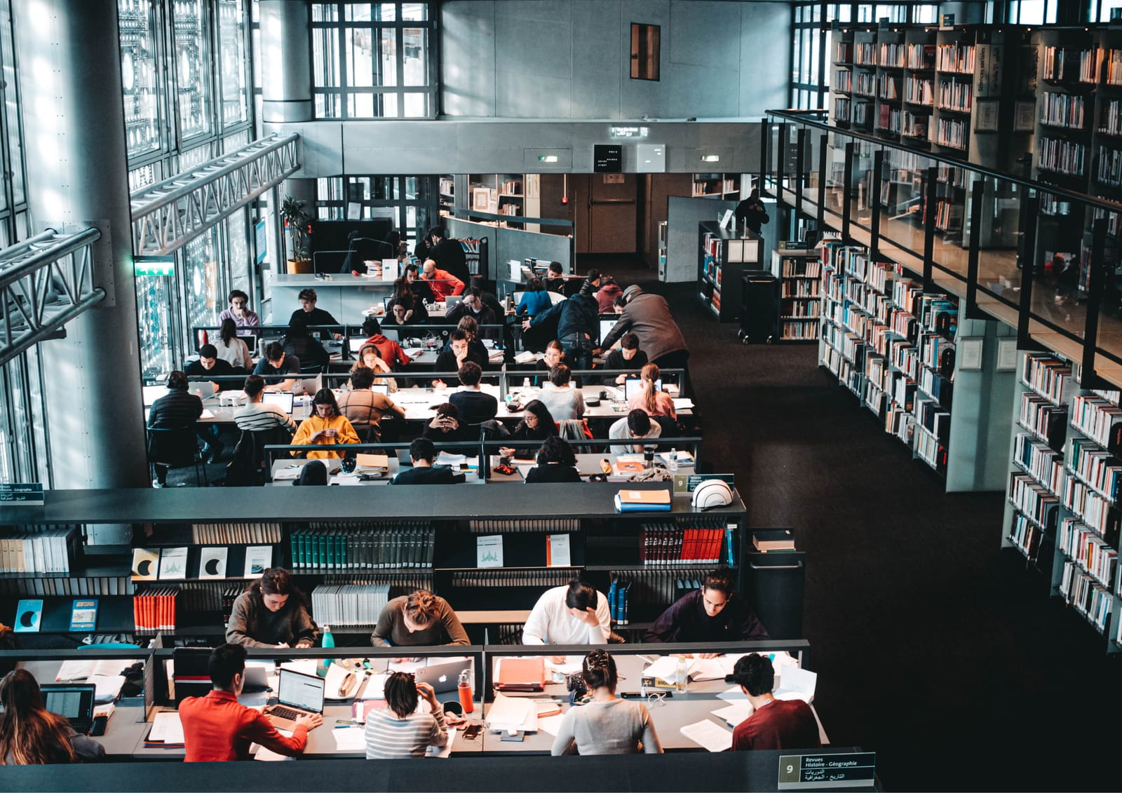 Waikato University Offers Partial Scholarships for International Students 2025