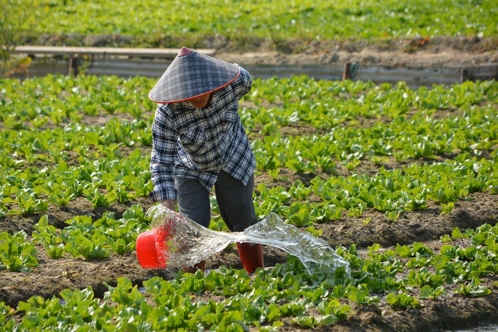 Top Job Abroad Programs Without Degree Requirements in 2025 Top Job Abroad Programs Without Degree Requirements in 2025