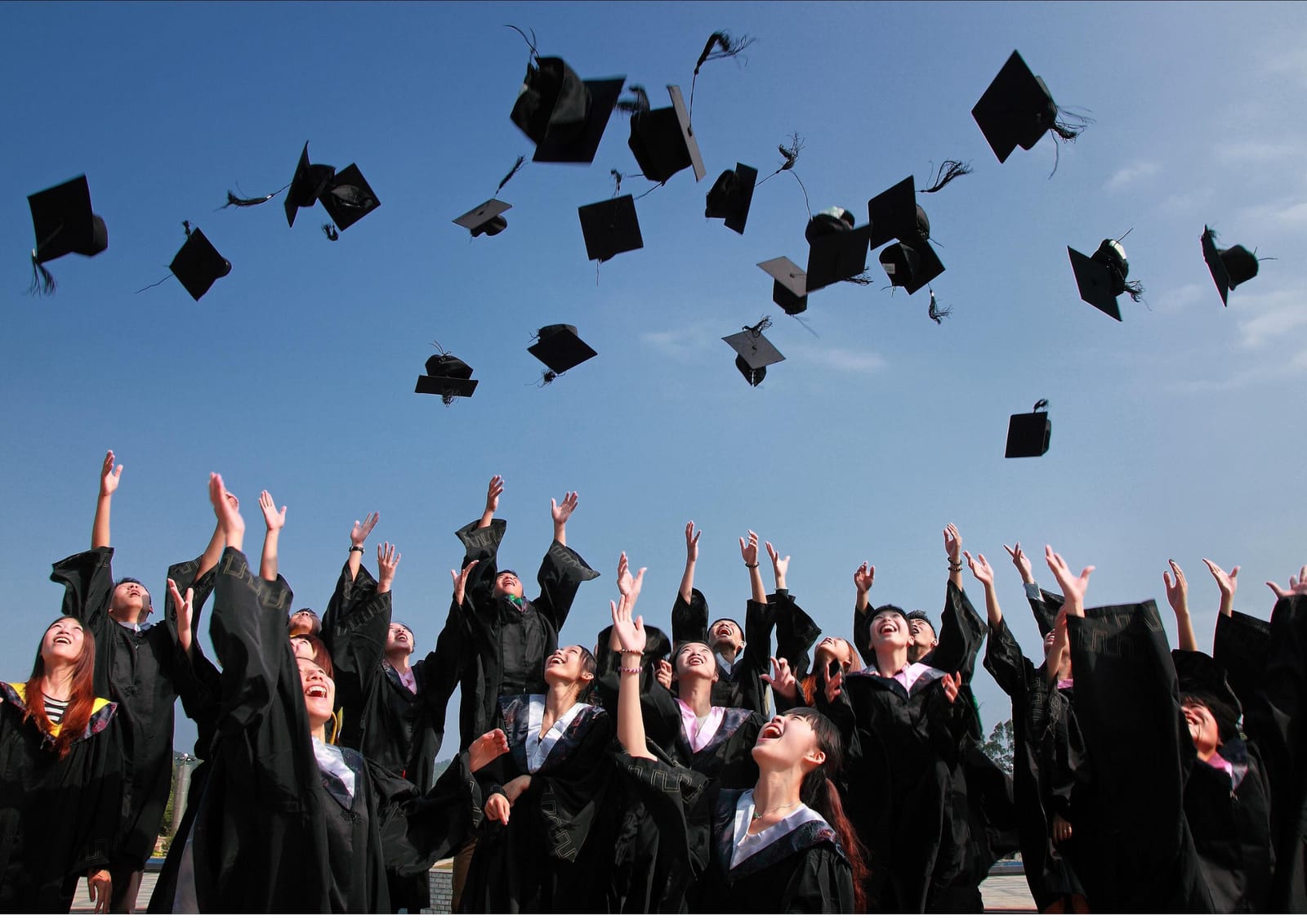 Study in Finland for Free | Vamia College 2025 Admissions Study in Finland for Free | Vamia College 2025 Admissions