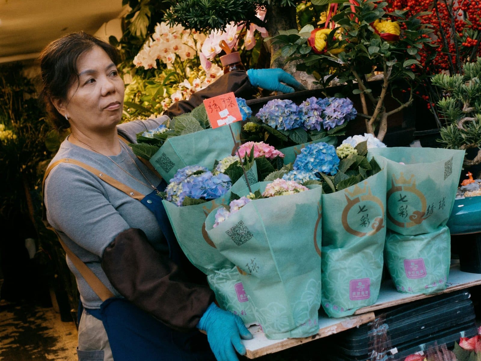 Work Abroad Programs vs International Internships: Key Differences Explained Work Abroad Programs vs International Internships: Key Differences Explained