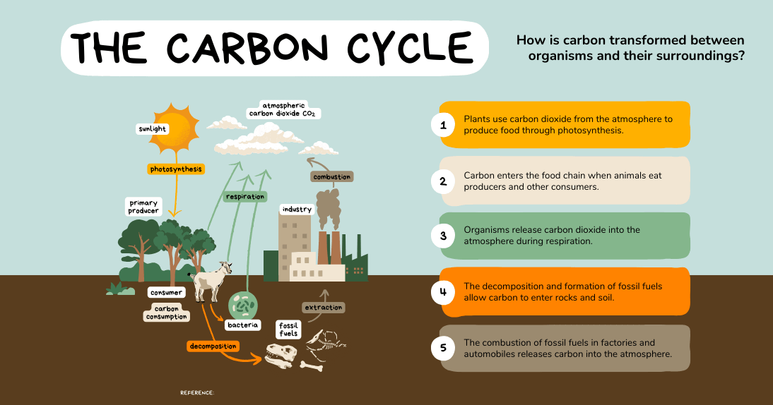 Best Study Abroad Programs for Postgraduate Students 2025 Best Study Abroad Programs for Postgraduate Students 2025